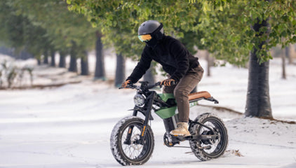 The Mantis-p6 Electric Assist Bike – Pxidbike