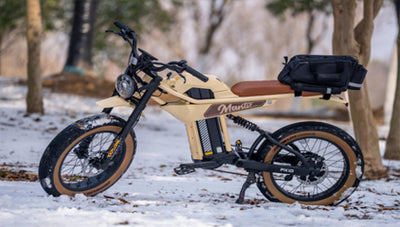Power and Precision: Unveiling the MANTIS-P6 1000W Electric Bike