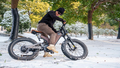 Pinnacle Power: Unleashing the 750W Dynamo - ANTELOPE-P5 Electric Bike ...