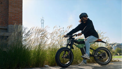 Exploring Adult Electric Bicycles for Efficiency and Adventure: The MANTIS-P6