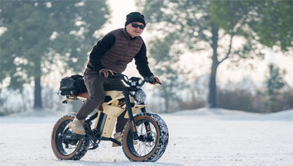 Power Unleashed: MANTIS-P6, Your 750W Electric Bike Adventure – pxidbike