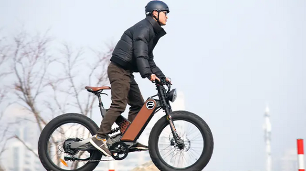 Antelope-P5: Your Electric Fat Bike Adventure Awaits