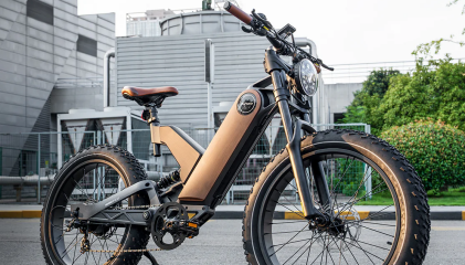 FAQs about Fat Tire E-Bikes: A Dive Into