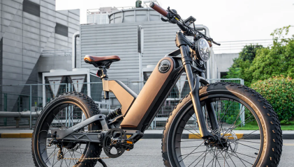 Exploring the Rising Popularity of Fat Tire Electric Bike