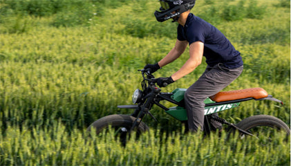 Conquer the Wild: The MANTIS-P6 Off-Road Electric Bike