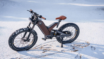 Riding the Future: Unveiling the Power and Style of ANTELOPE-P5 - Among the Top Electric Bikes in 2024