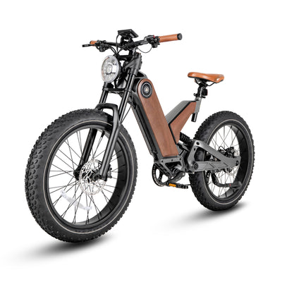 Bici elettrica con batteria rimovibile per tutti i terreni da 24 pollici P5-A