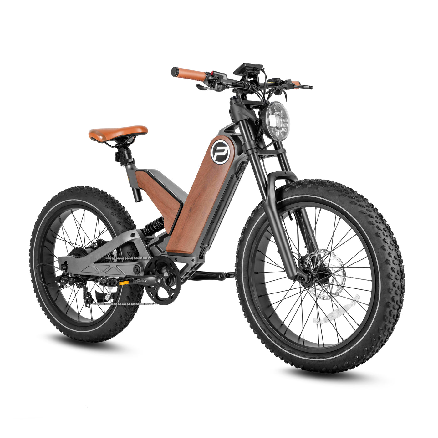 24 Inch Fat Tire All Terrain Removable Battery Electric Bike P5-A