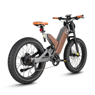 24 Inch Fat Tire All Terrain Removable Battery Electric Bike P5-A