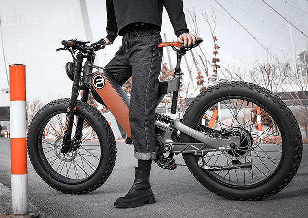 PXID-about ANTELOPE P5 electric bike