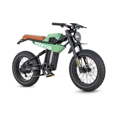 20*4.0" fat tire ebike