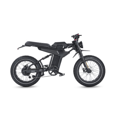 electric bikes for adults